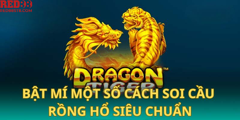 Bật mí một số cách soi cầu Rồng Hổ siêu chuẩn từ giới lão làng 