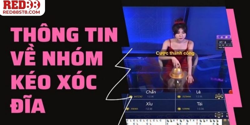 Hội nhóm kéo xóc đĩa online